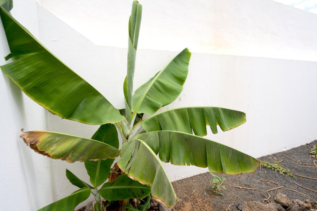 Villas Kalendra, Rofe, Lanzarote Guatiza Kültér fotó